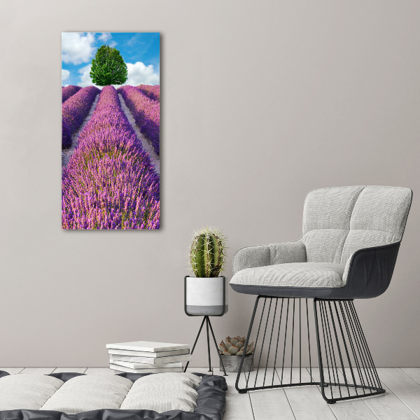 Foto obraz canvas pionowy Pole lawendy