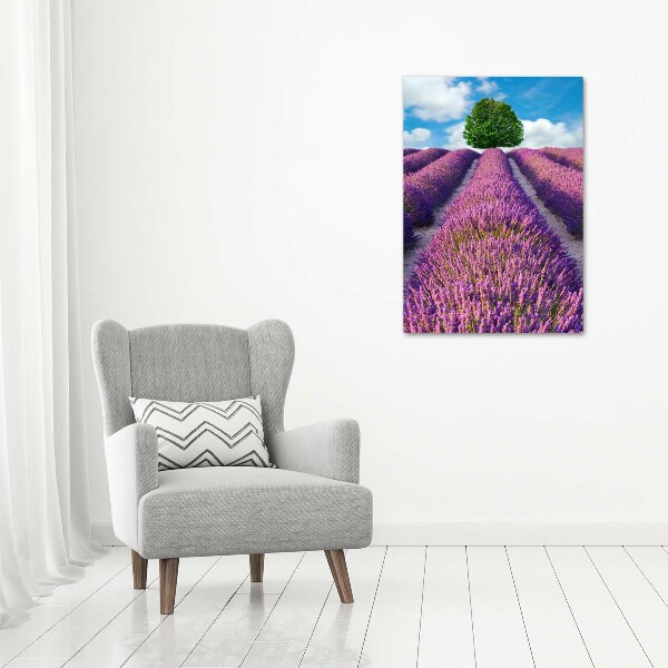 Foto obraz canvas pionowy Pole lawendy