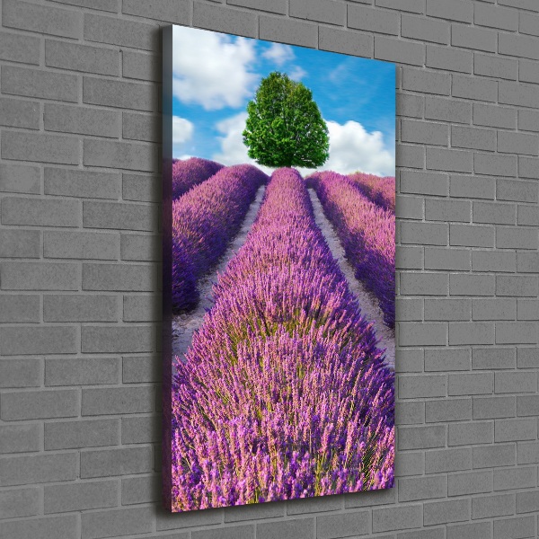 Foto obraz canvas pionowy Pole lawendy