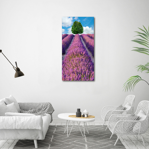 Foto obraz canvas pionowy Pole lawendy
