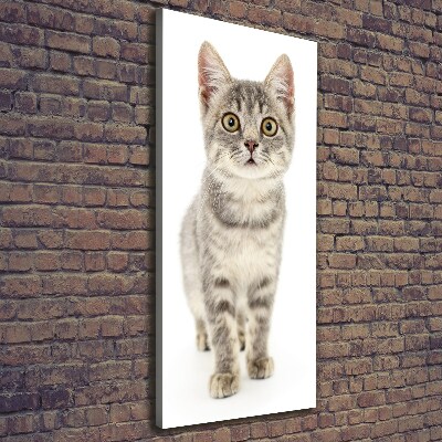 Foto obraz na płótnie do salonu pionowy Szary kot