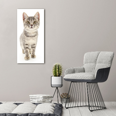 Foto obraz na płótnie do salonu pionowy Szary kot