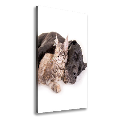 Foto obraz na płótnie do salonu pionowy Pies i kot