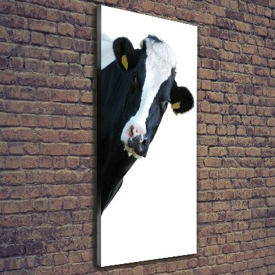 Foto obraz na płótnie pionowy Łaciata krowa