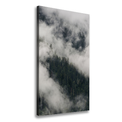 Foto obraz na płótnie pionowy Chmura nad lasem