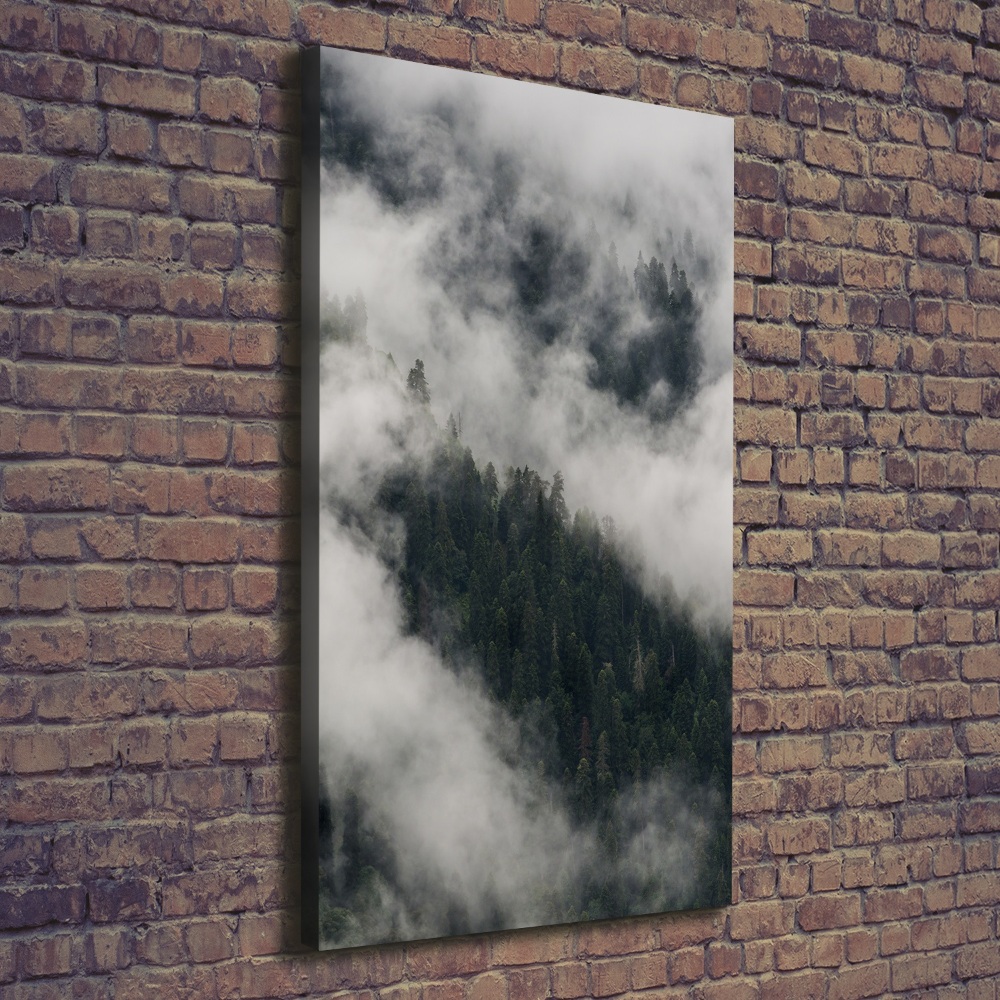 Foto obraz na płótnie pionowy Chmura nad lasem