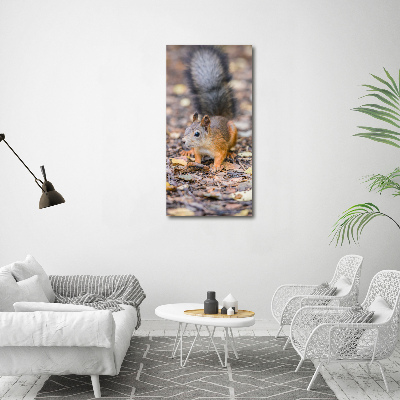Foto obraz na płótnie pionowy Wiewiórka w lesie