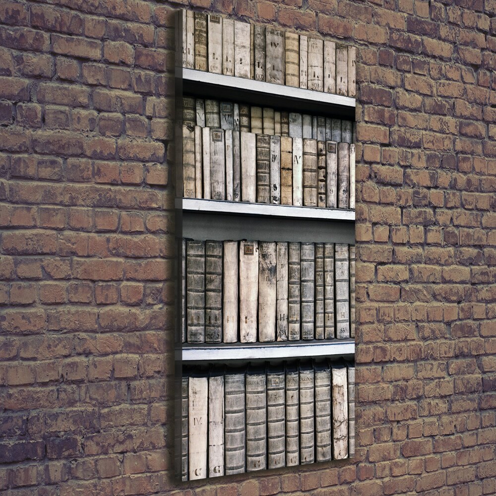 Foto obraz na płótnie pionowy Półka na książki