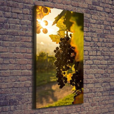 Nowoczesny obraz canvas na ramie pionowy Winnica