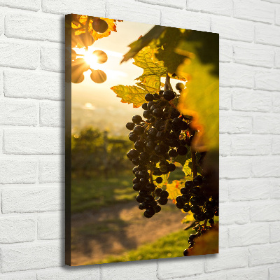 Nowoczesny obraz canvas na ramie pionowy Winnica