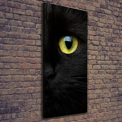 Foto obraz na płótnie do salonu pionowy Oczy kota