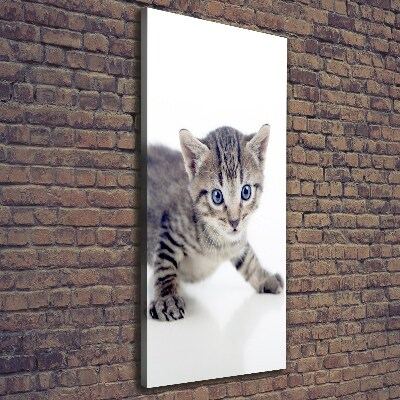 Foto obraz na płótnie do salonu pionowy Mały kot
