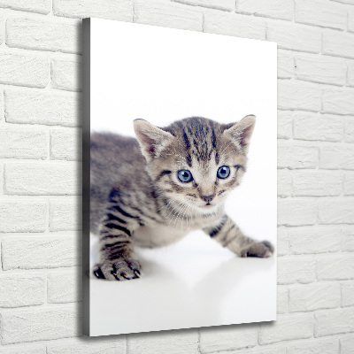 Foto obraz na płótnie do salonu pionowy Mały kot