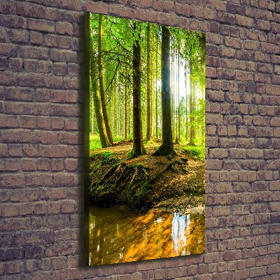 Foto obraz na płótnie pionowy Strumień w lasie