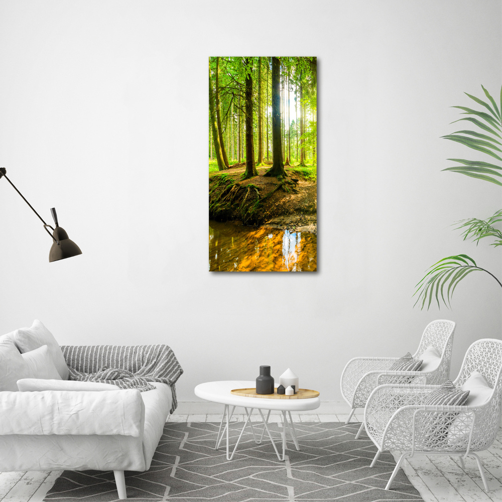 Foto obraz na płótnie pionowy Strumień w lasie