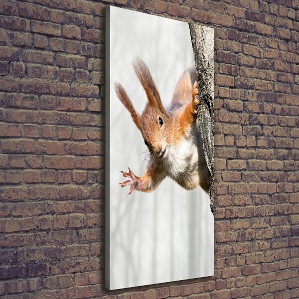 Foto obraz canvas pionowy Wiewiórka na drzewie