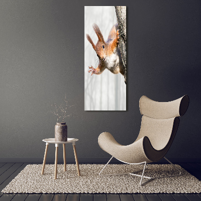 Foto obraz canvas pionowy Wiewiórka na drzewie
