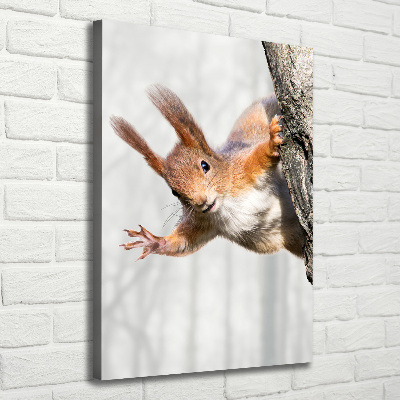 Foto obraz canvas pionowy Wiewiórka na drzewie