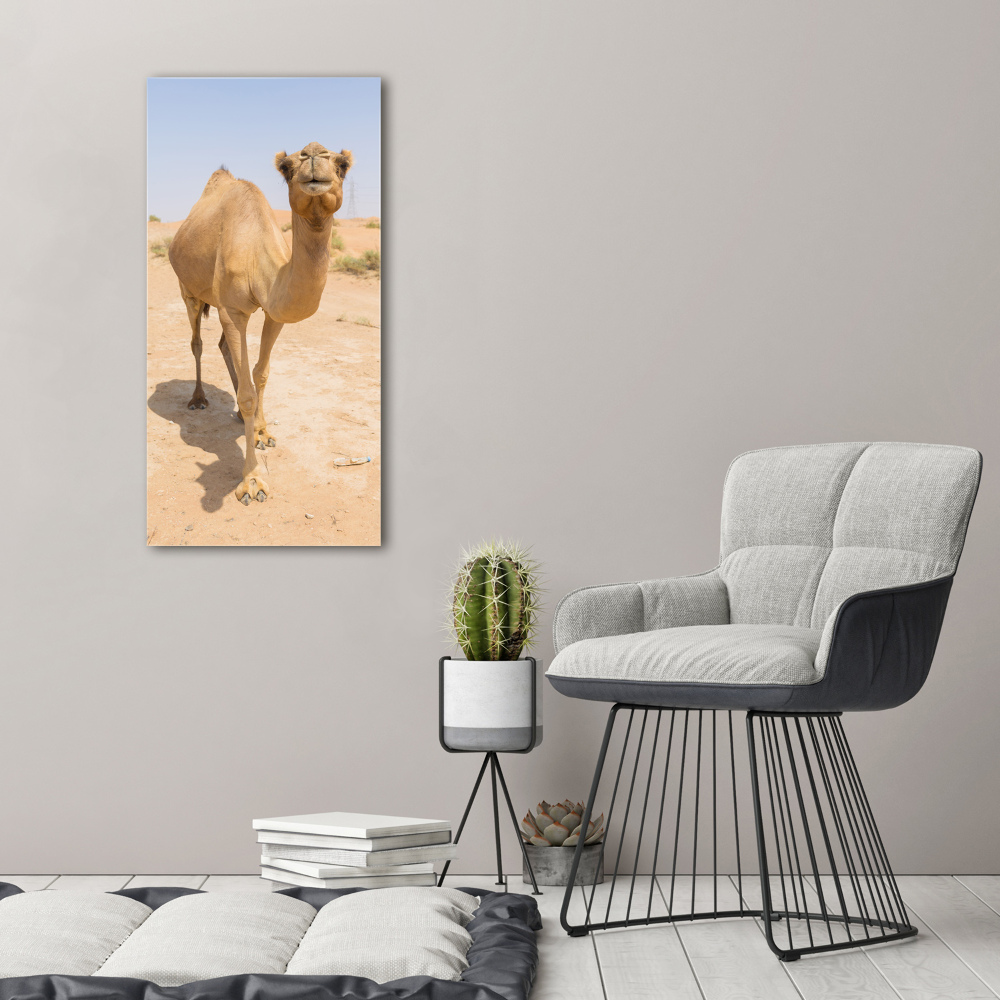 Foto obraz na płótnie pionowy Wielbłąd na pustyni