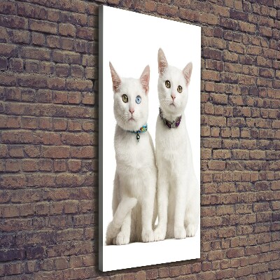 Foto obraz na płótnie pionowy Dwa białe koty