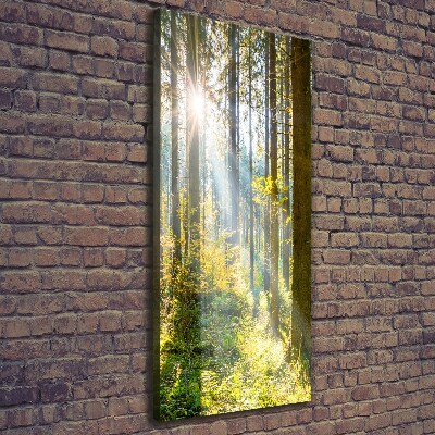 Foto obraz canvas pionowy Słońce w lesie