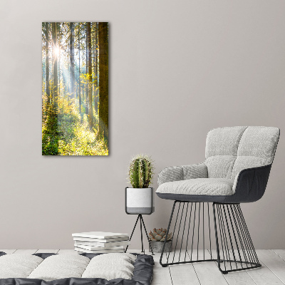Foto obraz canvas pionowy Słońce w lesie