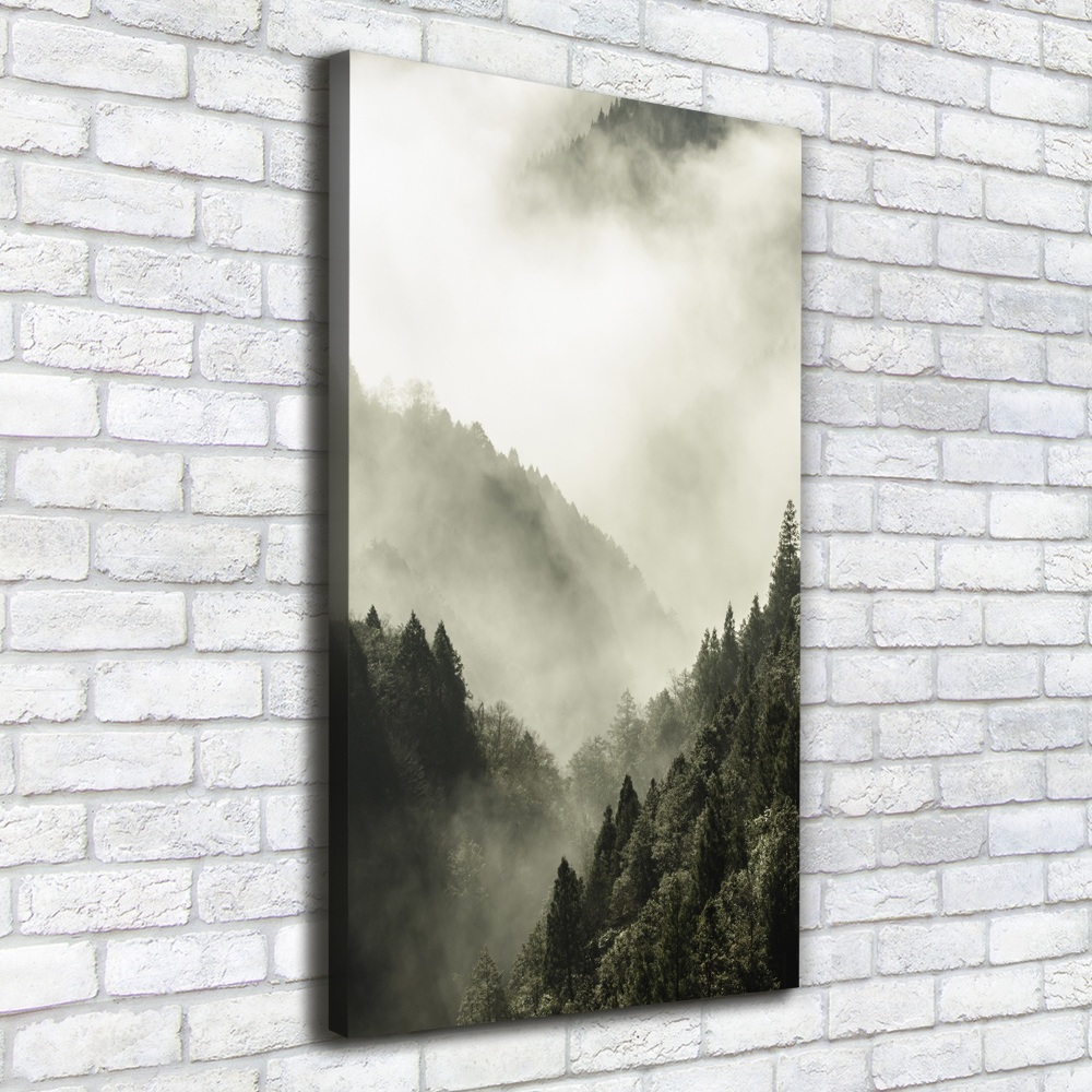 Foto obraz na płótnie pionowy Mgła nad lasem