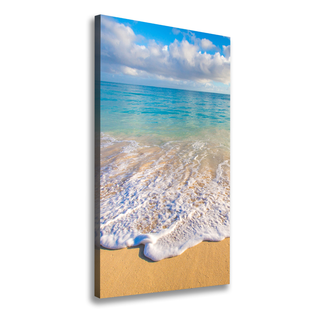 Foto obraz na płótnie pionowy Tropikalna plaża