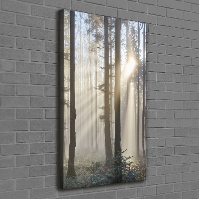 Foto obraz canvas pionowy Mgła w lesie