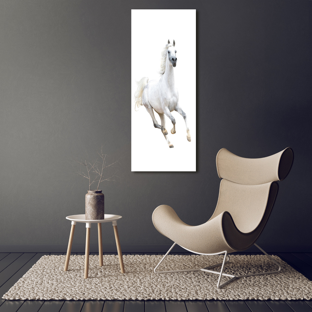 Foto obraz na płótnie pionowy Biały koń w galopie
