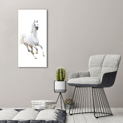 Foto obraz na płótnie pionowy Biały koń w galopie