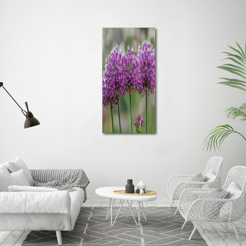 Foto obraz na płótnie pionowy Kwiaty czosnku