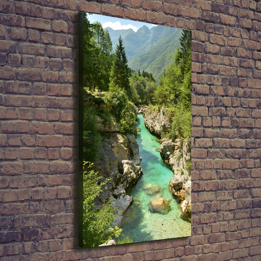 Foto obraz canvas pionowy Potok górski