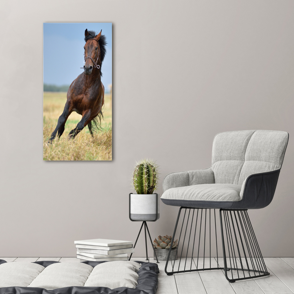 Foto obraz na płótnie do salonu pionowy Koń na polu