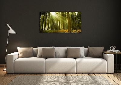 Foto obraz szkło hartowane Las sosnowy