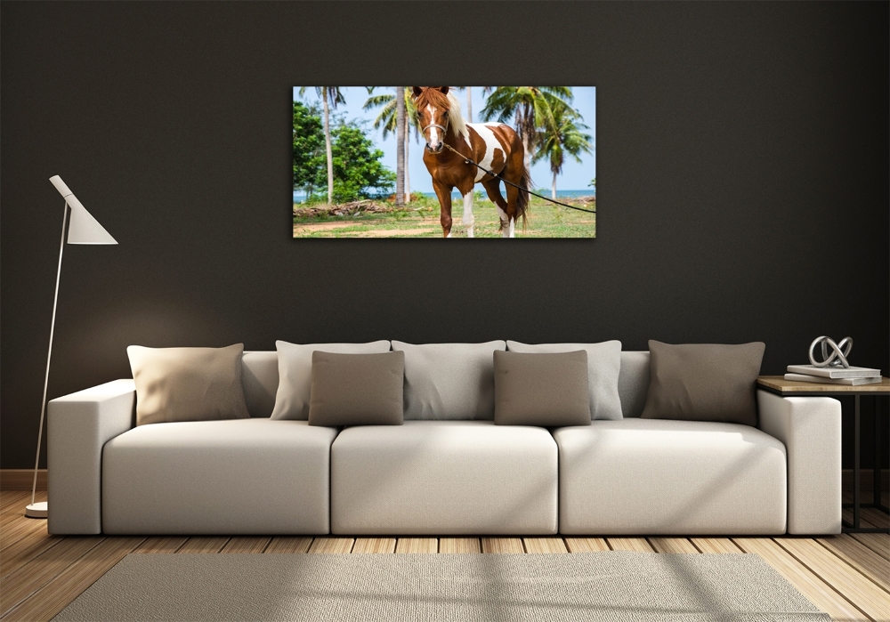 Foto-obraz szkło hartowane Łaciaty koń