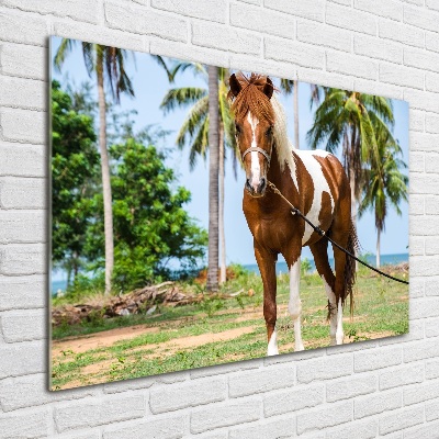 Foto-obraz szkło hartowane Łaciaty koń