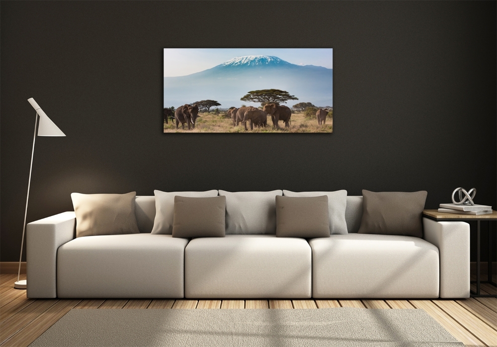Foto-obraz szklany Słonie Kilimandżaro