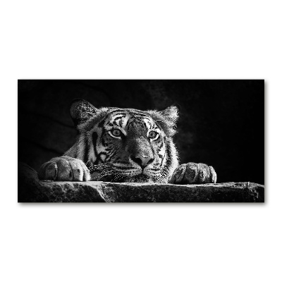 Foto-obraz zdjęcie szkło hartowane Tygrys