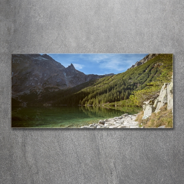 Foto obraz szklany Morskie oko Tatry