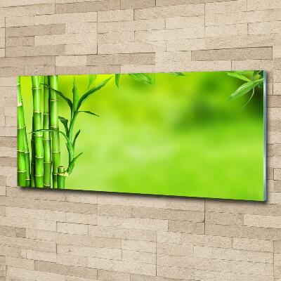 Foto obraz zdjęcie szkło hartowane Bambus