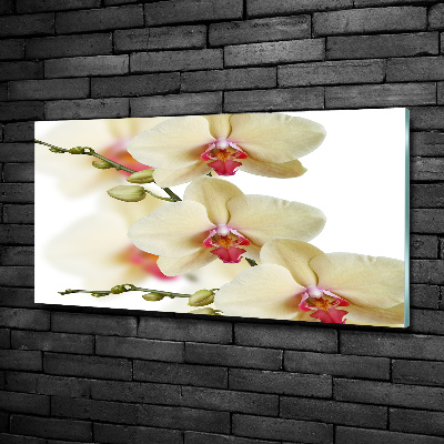 Foto obraz szkło hartowane Orchidea