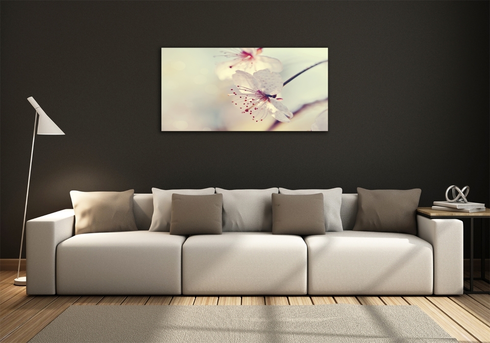 Foto obraz szkło hartowane Kwiat wiśni
