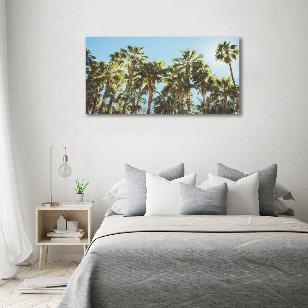 Foto obraz szkło hartowane Wysokie palmy