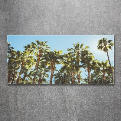 Foto obraz szkło hartowane Wysokie palmy