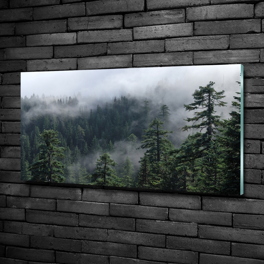 Foto obraz szkło hartowane Leśna mgła