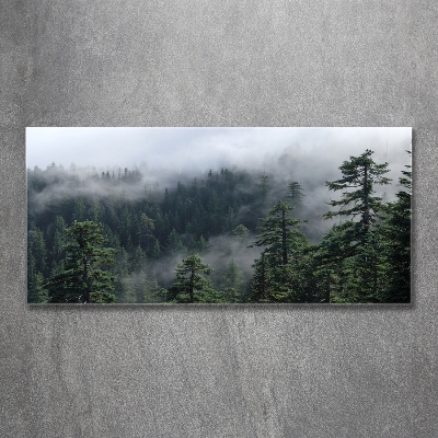Foto obraz szkło hartowane Leśna mgła