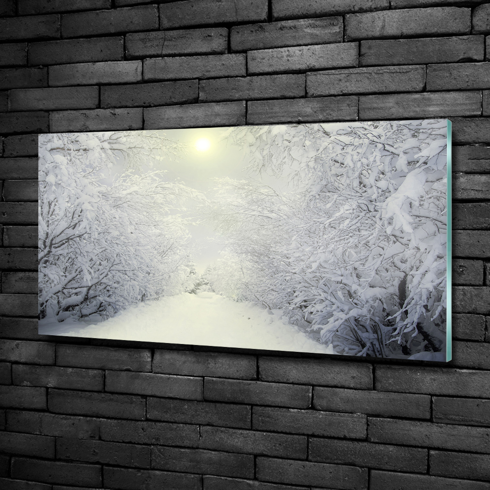 Fotoobraz na ścianę szklany Piękny las zimą