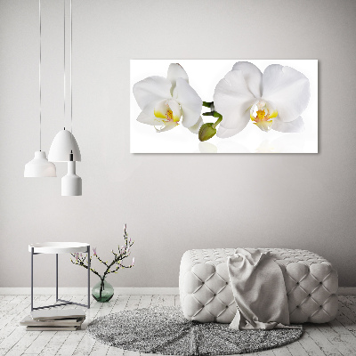 Foto obraz szkło hartowane Orchidea