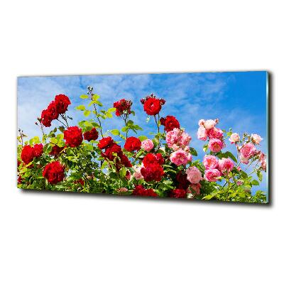 Foto obraz szkło hartowane Dzikie róże